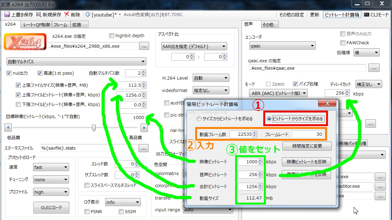 X264導入済 Aviutl 出力ファイルの容量が大きくなる場合の対処法 あおのページ